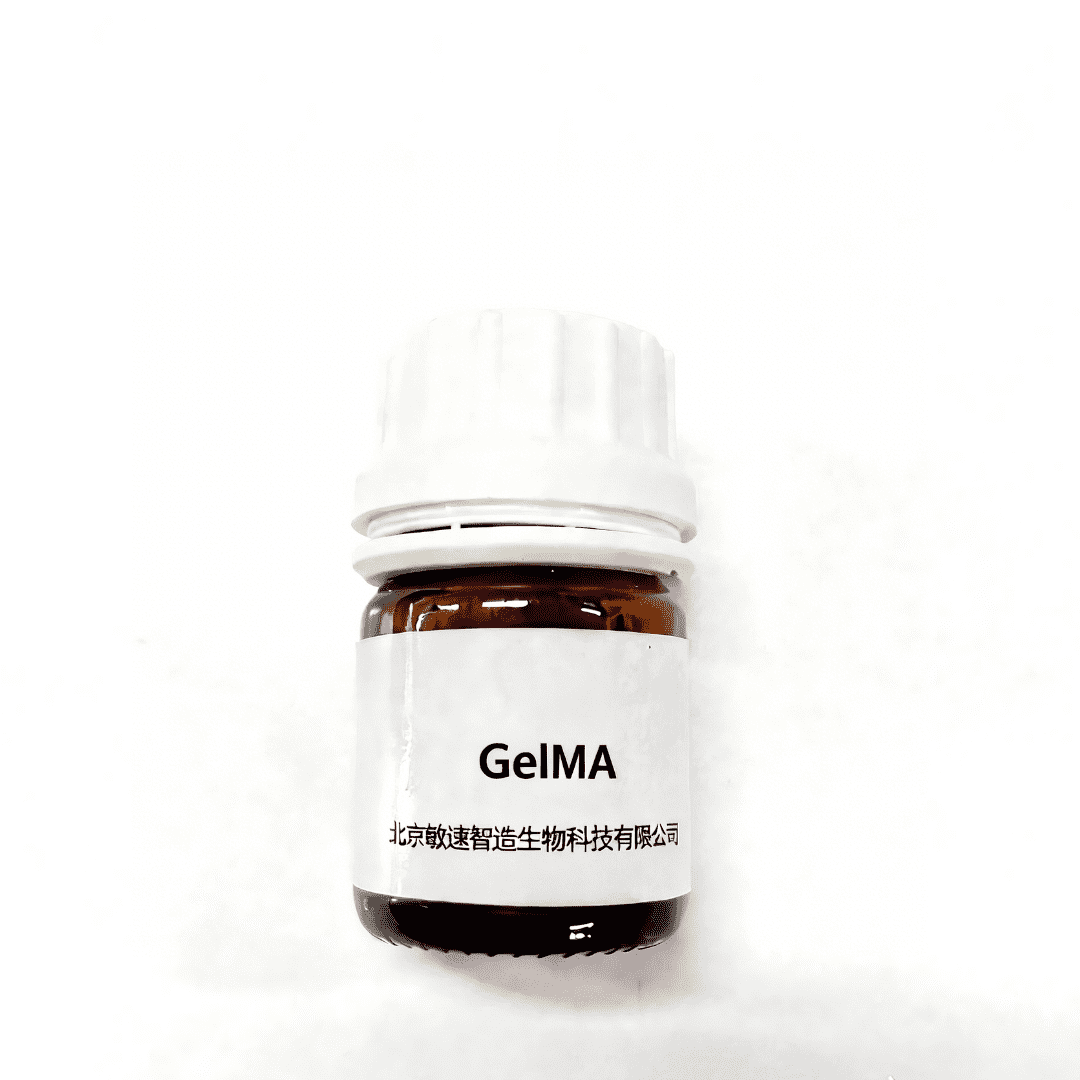 GelMA