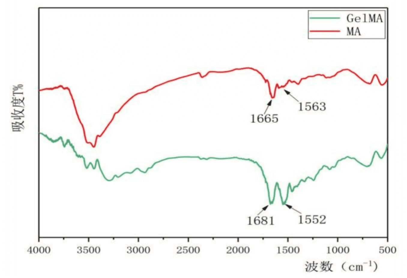 GelMA FTIR spectrum