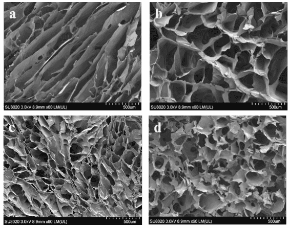 GelMA SEM micrograph