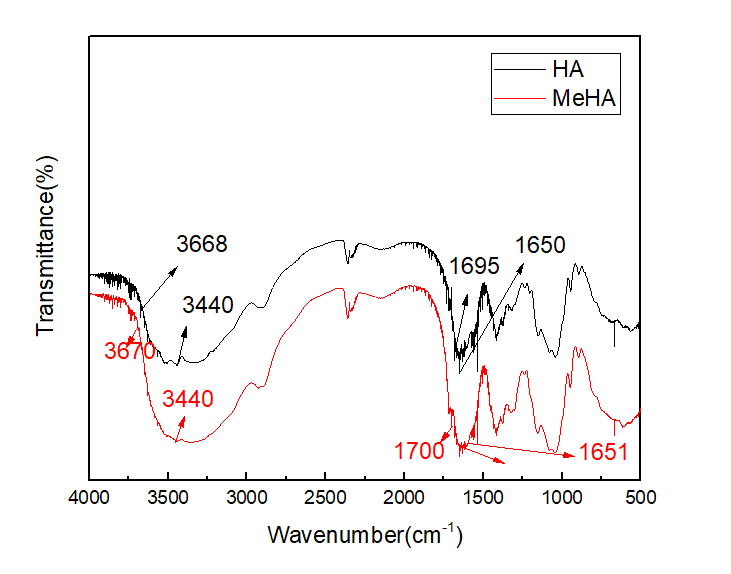 HAMA FTIR spectrum